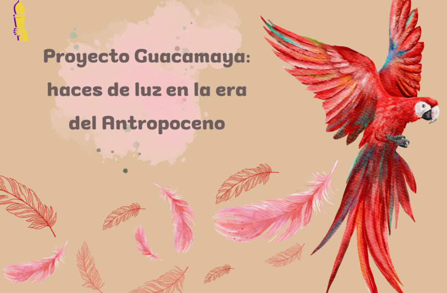 Proyecto Guacamaya: haces de luz en la era del Antropoceno