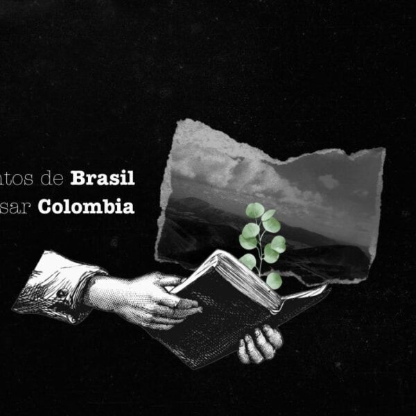 3 cuentos de Brasil para pensar Colombia